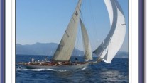 Moonbeam of Fife - Photo Credit - Gösta Odelberg